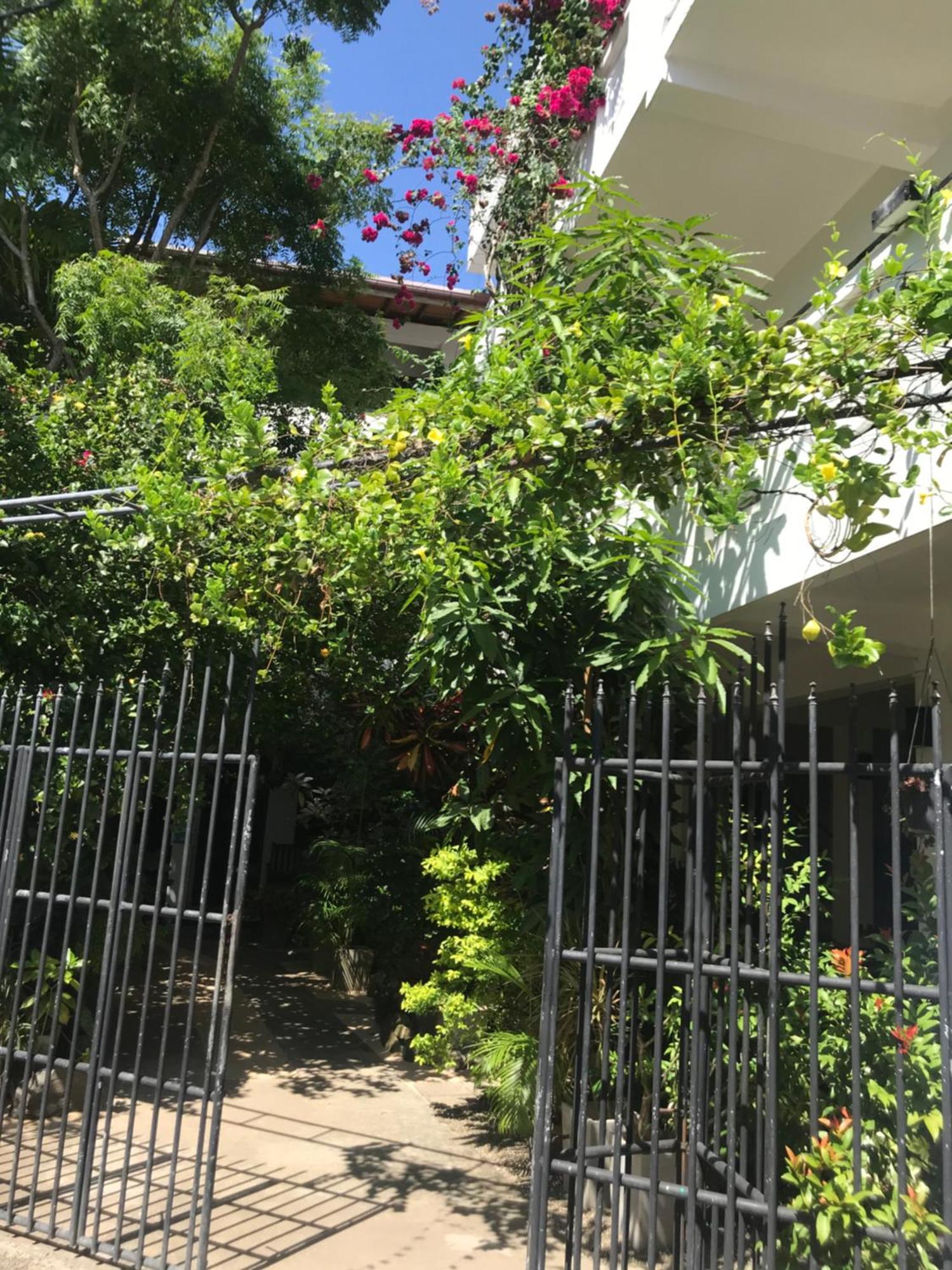 Unawatuna Beach Bungalow - Exterior foto