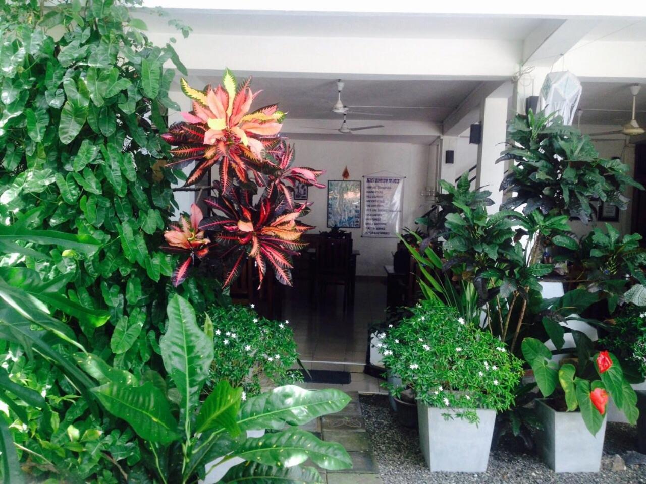 Unawatuna Beach Bungalow - Exterior foto