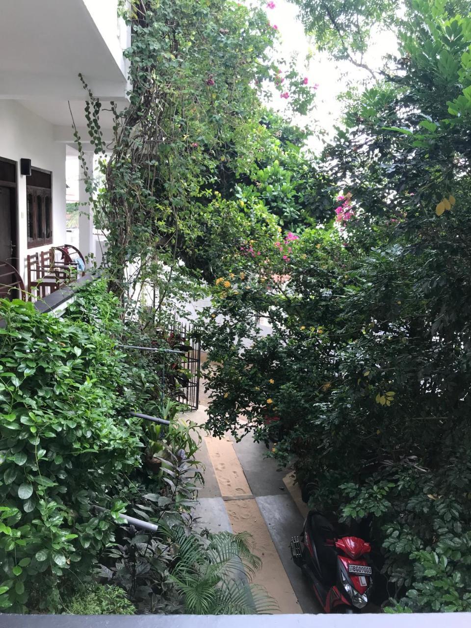 Unawatuna Beach Bungalow - Exterior foto
